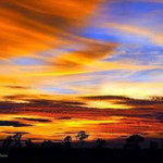 เสาวรส สกุลนุ่ม profile icon