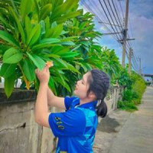 Thanatcha Amplang profile icon