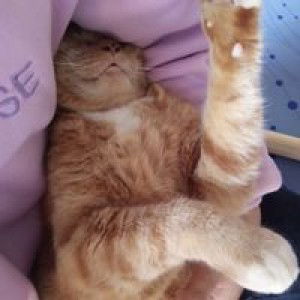 Pang Chutima profile icon