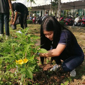 Kanyarat Kankhanun profile icon