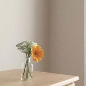 Khaerunnisa Jasmine profile icon