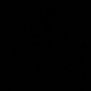 siti Rahmawati profile icon