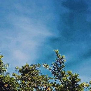 Nurul Chomsyah profile icon