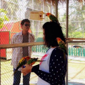 Panpatchara J profile icon