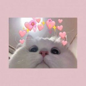 Siti Nurulashiqin profile icon