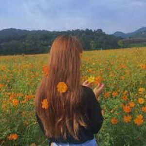 เบลล่า ทไวไลท์ profile icon