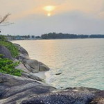 D'Man Nee profile icon