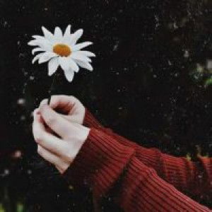 Ririi Aprillya profile icon