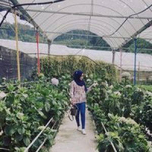 Shila Eila profile icon