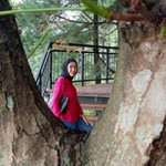 Thiara Kasih profile icon