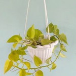 Pri Pris profile icon