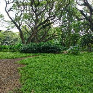 Asri Dwi Suwarti profile icon