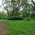 Asri Dwi Suwarti profile icon