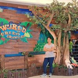 Princess Daiz - Bagoyoro profile icon