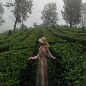 Dewi Gustianti Rahayu profile icon