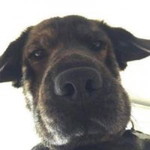 กานต์ศิริ profile icon