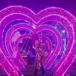 Ayu Ayu profile icon