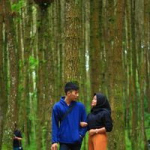 Indra Tera profile icon