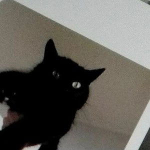 Airplanemode profile icon