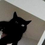 Airplanemode profile icon