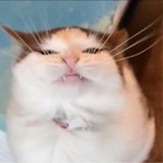 Noo Rai Nee profile icon