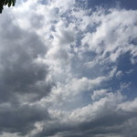 Firdha Ayu Apriliani profile icon