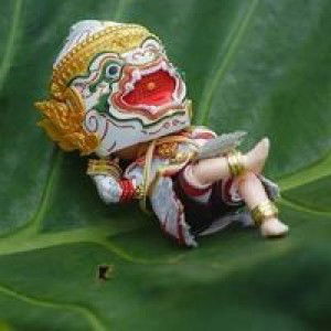 นภิสา ดีมี profile icon