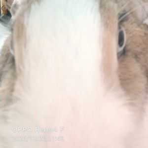 Debby istiqomah profile icon