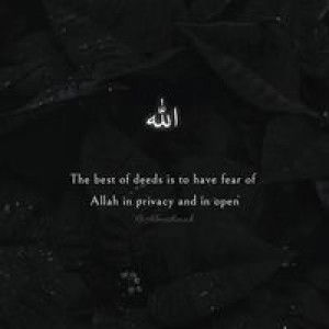 Sakina S. Abid profile icon