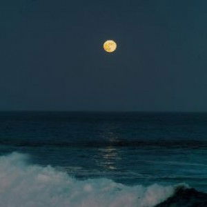 Siti Hanafiyah profile icon