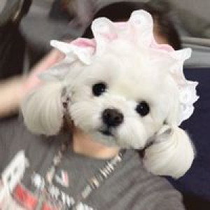 ผักบุ้ง profile icon