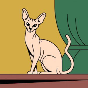 Nur Lin profile icon