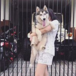 Vindry J Zachawerus profile icon