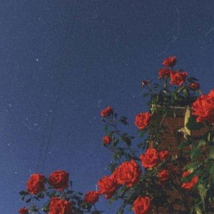 Sulastri Herdiana profile icon