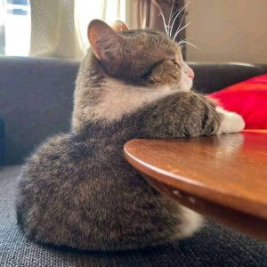 nita dwi profile icon