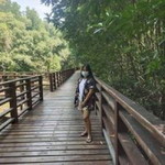 Rungrawee Duangsimma profile icon