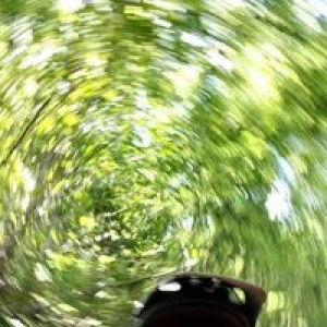 Lilik Bentar profile icon