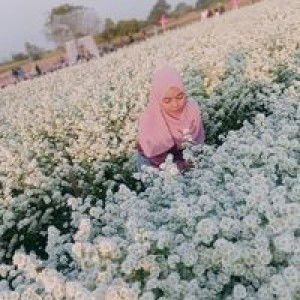 Pattaranan'n Midwang profile icon