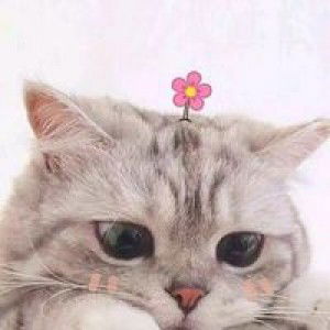 Ayna Mansur profile icon