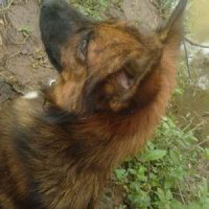 เนม ฯ. profile icon