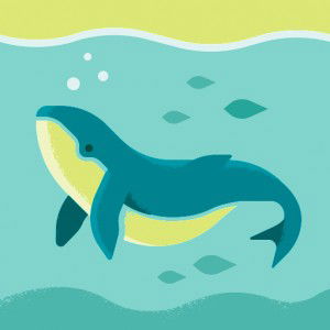 Meli Melani profile icon