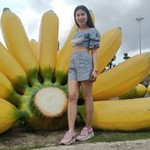 Nok Khuanchanok Chomnet profile icon