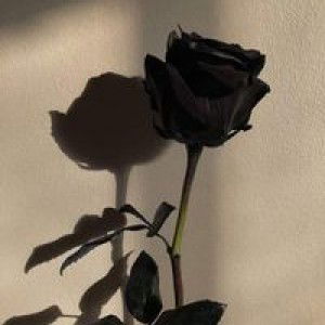 น้ำ ทิพย์ profile icon