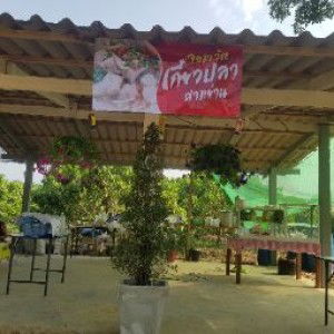 K Chaweewaw profile icon