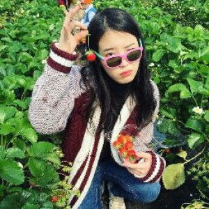 piko.ma profile icon