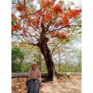 Dahwahda profile icon