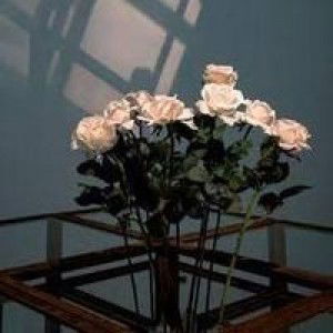 Dina Putri profile icon