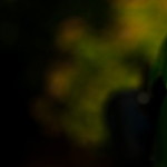 nurul atiqah profile icon