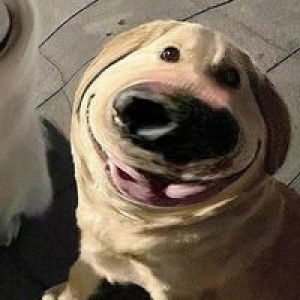 You Ngern profile icon