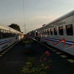 nurlutfia57 profile icon